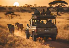 Kenya Safari Package with Lodges, Meals and Game Drives