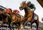 8 Ways a Horse Racing Data Feed Can Support Better Race Analysis