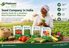 Seed Company in India: Quality Seeds for Modern Agriculture