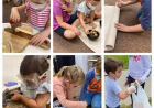What to Look for in a Montessori Daycare in St. Catharines