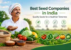 Best Seed Companies in India: Supporting Better Farming and Crop Productivity