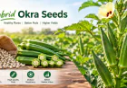 Hybrid Okra Seeds: A Smart Choice for Productive Farming