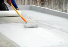 Best Waterproof Wall Paint: A Practical Guide to Dampness and Protection