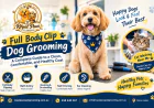 Full Body Clip Dog Grooming: A Complete Guide to a Clean, Comfortable, and Healthy Coat