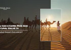 How Can A Camel Ride Add Cultural Value To A Dubai Desert Excursion?