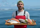 Sustainable Seafood Market Size, Trends, and Growth Forecast 2026-2033