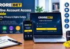 Online Account Access: Security, Privacy and Digital Safety Guide