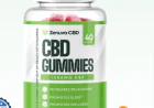 How does Zenuva CBD Pain Relief work?