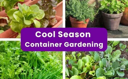 Fall Container Gardening: Veggies, Herbs & Native Plants