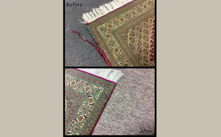 Pet Stain Removal: A Complete Guide for Rug Owners