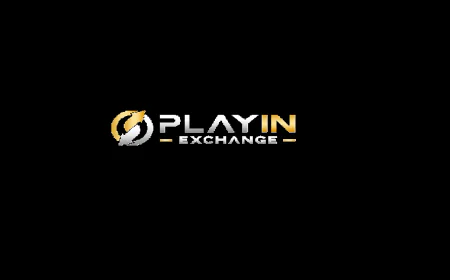 What to Check Before Adding Funds to Playinexch247 Online