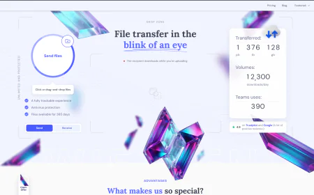 A Simple Way to Transfer Large Files Online