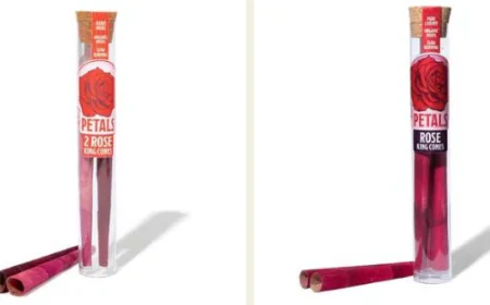 Premium King Size Cones for a Refined Rolling Experience