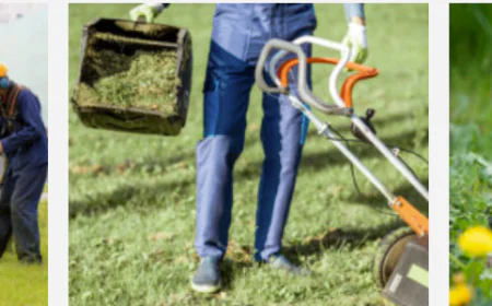 Garden Designers Near Me: Expert Ideas for a Beautiful Garden