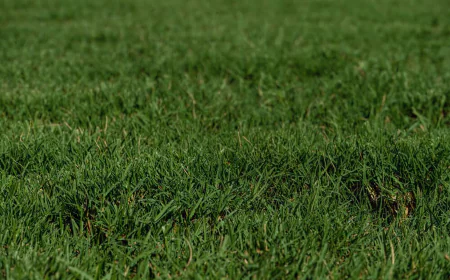 Sod Installation in Fort Worth: Create a Fresh, Beautiful Lawn That Lasts
