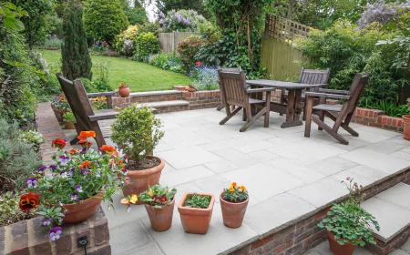 Create a Beautiful and Functional Outdoor Space With Dallas Landscape Design