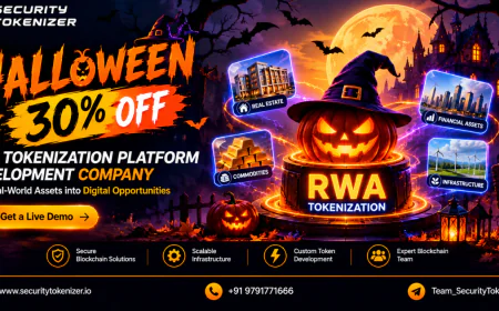 Why Is the Growing RWA Market Creating New Opportunities for Digital Asset Businesses? Halloween 30% OFF