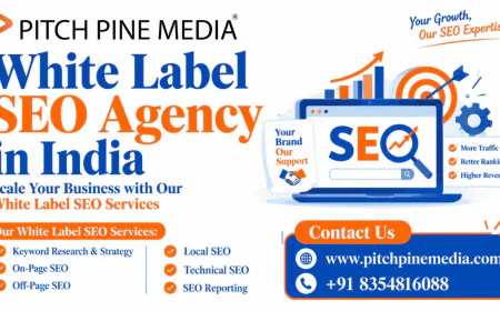 How to Find the Right White Label SEO Providers for Your Agency?