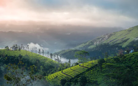 Best Time to Visit Kerala for a Honeymoon: Ideal Months & Travel Tips