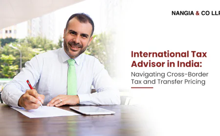 International Tax Advisor in India | Cross-Border Tax & Transfer Pricing