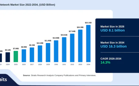 Dark Fiber Network Market: Next-Generation Networks Reshape Digital Connectivity