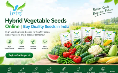Hybrid Vegetable Seeds Online: What You Need to Know Before You Start