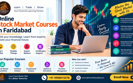 Best Online Stock Market Courses in Faridabad for Beginners