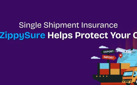 Single Shipment Insurance: How ZippySure Helps Protect Your Cargo