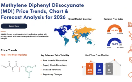 MDI Price Forecast: What to Expect Over the Next 12 Months