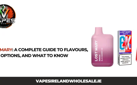 Lost Mary: A Complete Guide to Flavours, Vape Options, and What to Know