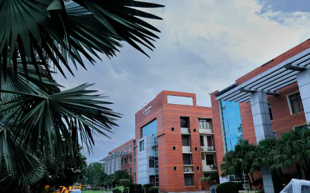 Best University in India for Management Studies: What to Check