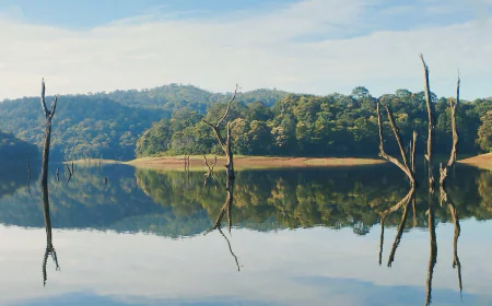 Affordable Kerala Tour Packages for Your Next Vacation