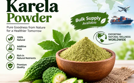 Karela Powder for Nutraceutical Manufacturers: Bulk Supply, Quality Standards and Private Label Solutions
