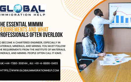 The Essential MIMMM Requirements and What Professionals Often Overlook