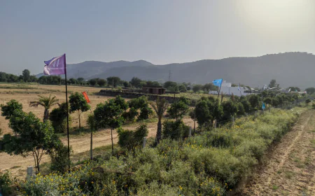 Should You Consider Farmhouse Land in Shahpura?