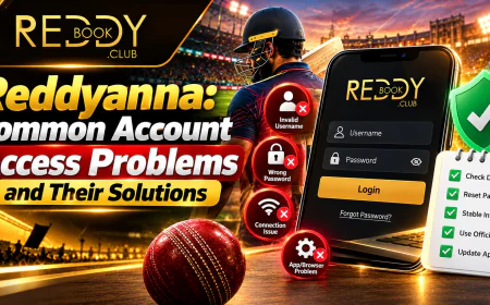 Reddyanna: Common Account Access Problems and Their Solutions