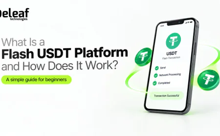 What Is a Flash USDT Platform and How Does It Work?