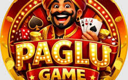 Paglu Game: Complete Guide for Beginners