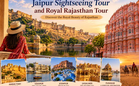 Jaipur Sightseeing Tour and Royal Rajasthan Tour: Discover the Royal Beauty of Rajasthan