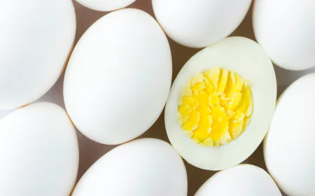 How to Make Informed Choices About Protein Nutrition