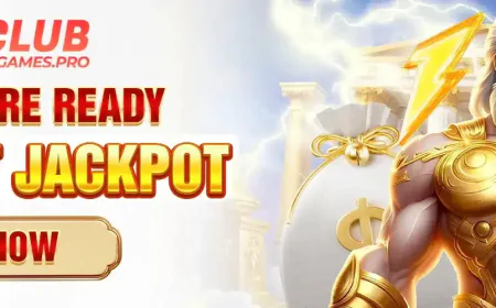 91 Club Games Online Guide for New and Existing Users