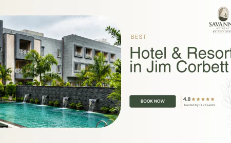 Experience a Relaxing Getaway at the Best Resort in Jim Corbett