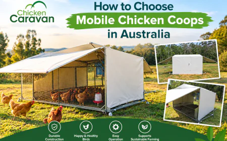 How to Choose Mobile Chicken Coops in Australia