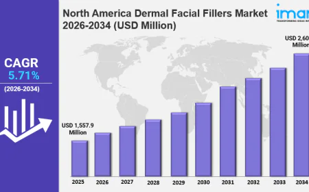 North America Dermal Facial Fillers Market is Predicted To Grow at a CAGR of 5.71% by 2034