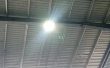 Steel Sheds: Durable, Cost-Effective, and Versatile Building Solutions