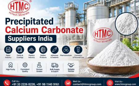 Precipitated Calcium Carbonate Suppliers India: Key Factors for Industrial Buyers