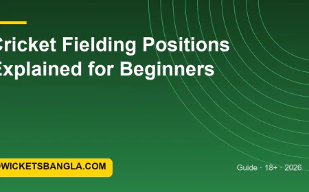 Cricket Fielding Positions Explained for Beginners