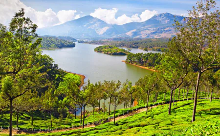 Your Perfect Kerala Hill Holiday: Munnar Tour Packages from Cochin for Scenic Adventures and Romantic Stays