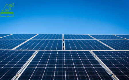 Solar Project Consultants in India: A Simple Guide to Solar Planning