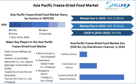 Asia Pacific Freeze-Dried Food Market Demand Strengthens for Ready-to-Eat Meals